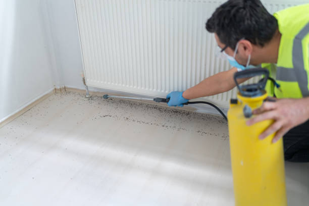 Reliable Glasgow, KY Pest Control Solutions