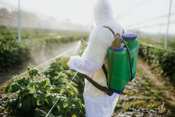 Best Exterminator Services  in Glasgow, KY
